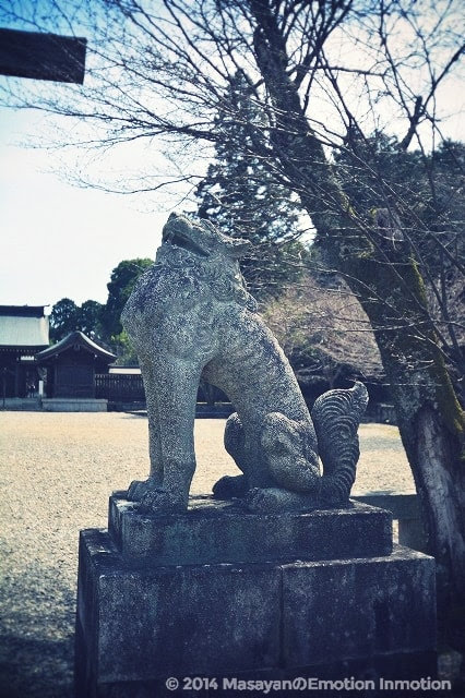 吉野神宮の狛犬