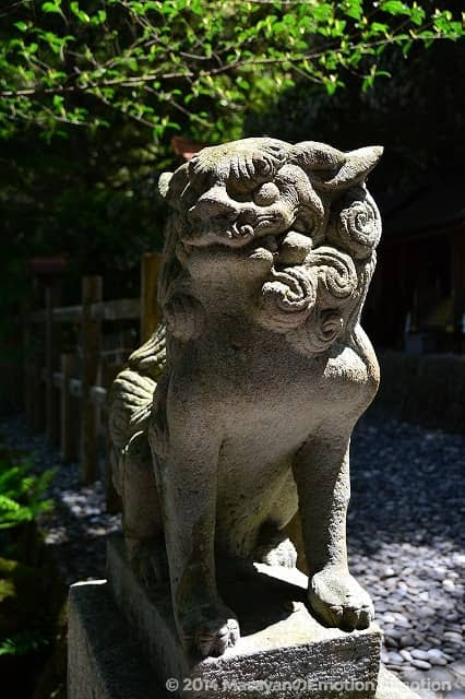 天河神社/狛犬