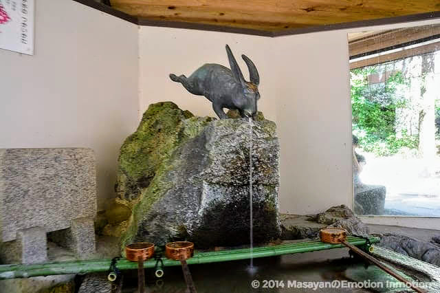 宇治神社手水舎のウサギ