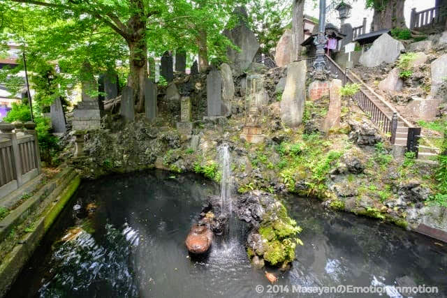 成田山新勝寺の池