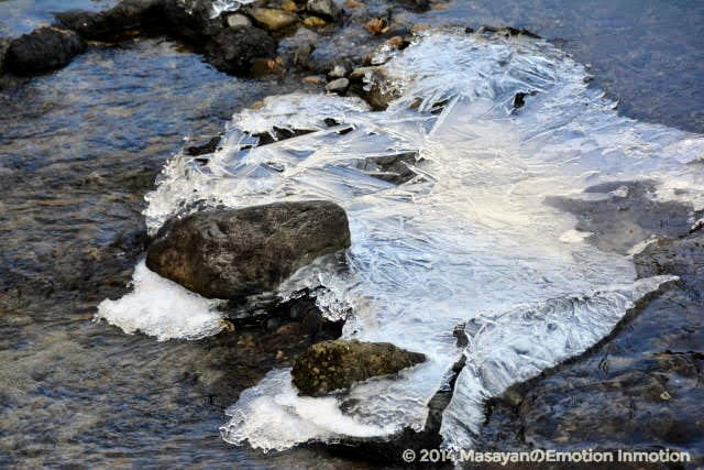凍る川
