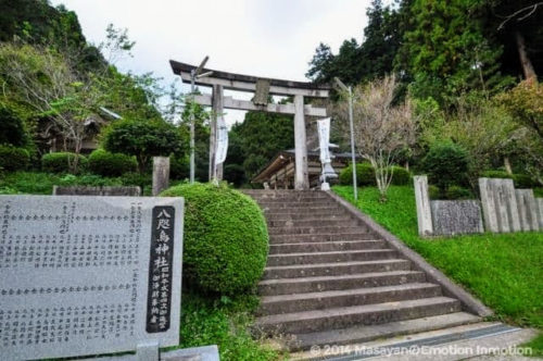 八咫烏神社とは神武天皇を導いた八咫烏を祀るサッカーファンの聖地！